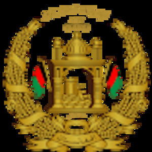 Meet your Posher, Amina